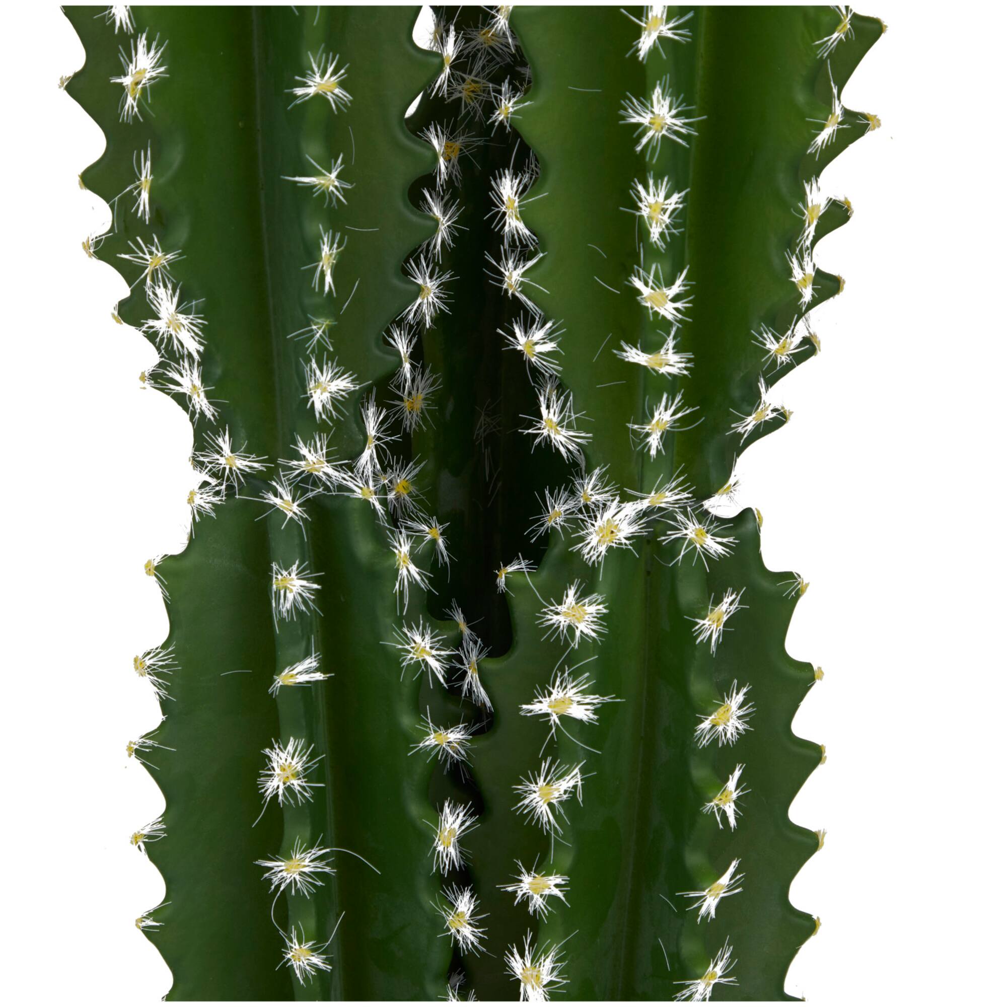 2ft. Green Cactus Faux Foliage Artificial Plant with Black Round Pot
